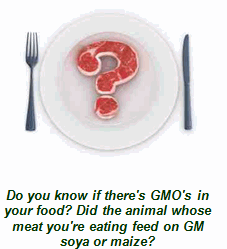 are there GMOs in your food?