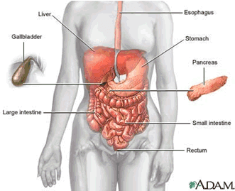 pancreatic1